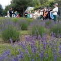 img_20240604_110125